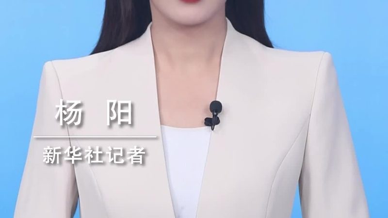 数据湖平台选型的关键技术考量