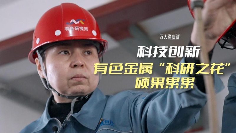 OA协同办公，功能对比解析：选择与优化之道